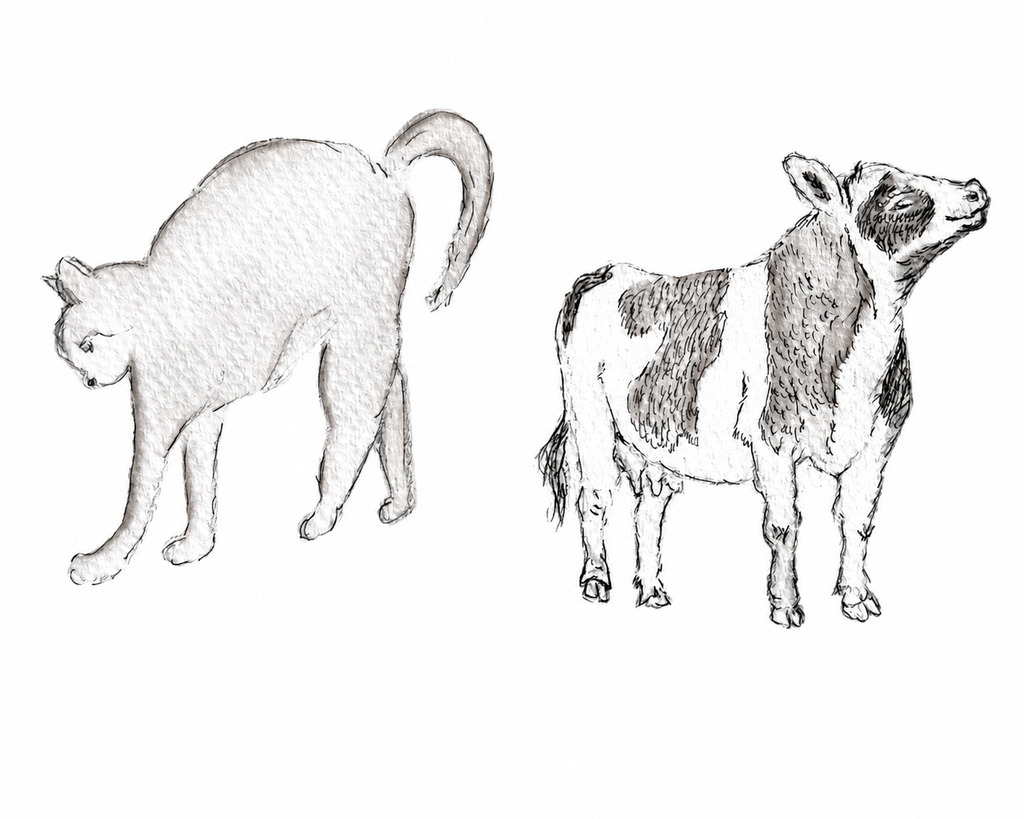 Cat and Cow Print - Original Watercolor by Amanda Rosmann