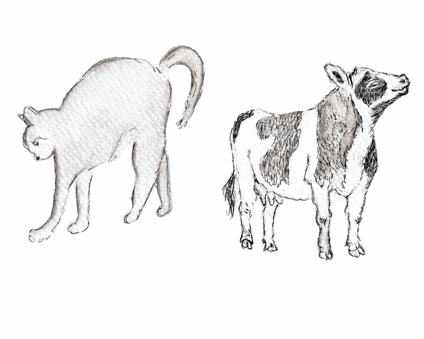 Cat and Cow Print - Original Watercolor by Amanda Rosmann