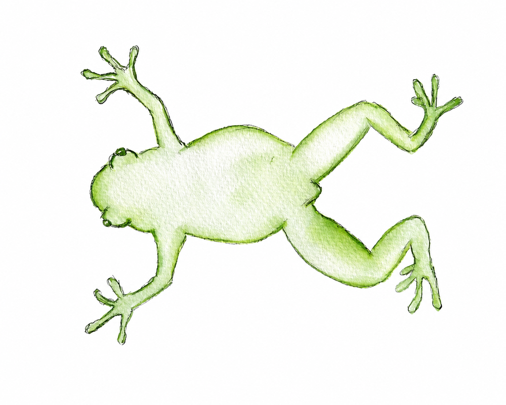 Frog Print - Original Artwork by Amanda Rosmann