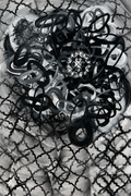 Squishy 24x36 - Original Artwork by Lori Miller