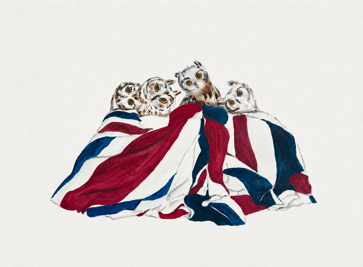The HOO Print - Original Watercolor by Amanda Rosmann